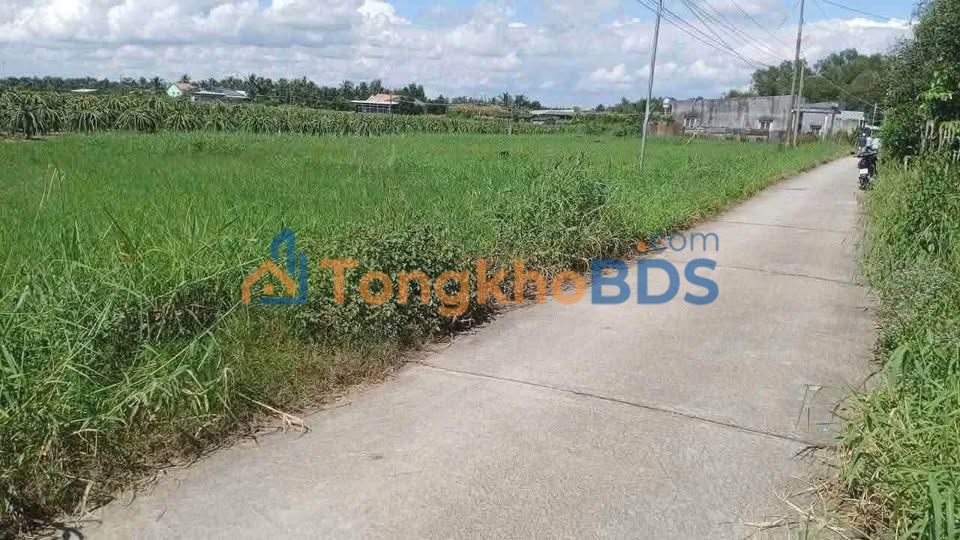 Đất nền Long An: 1000m² thổ cư, view kênh mát mẻ, giá chỉ 900 triệu