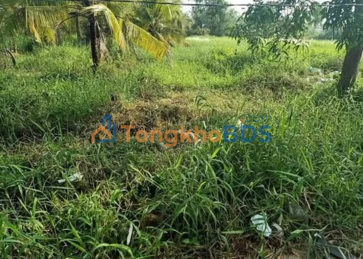 Bán Đất Thổ Cư 310m² Mặt Tiền Hẻm Xe Tải - Tân An, Long An