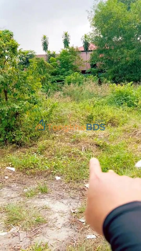 Bán Đất 120m² Mặt Tiền Đường 5m, Phường Tân Hoà, Phú Mỹ - Giá Tốt