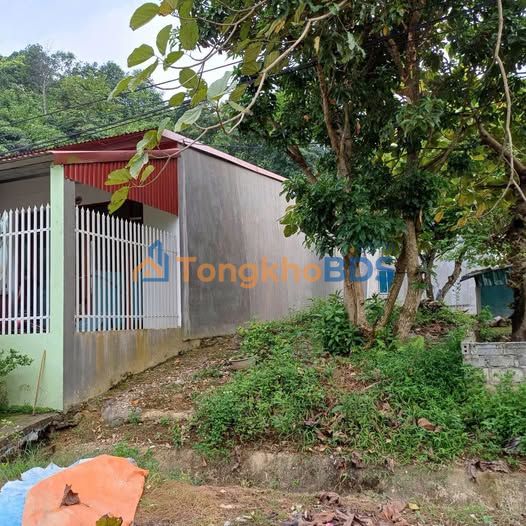 Bán Đất Đồng Tuyển Lào Cai 100m² - Vị Trí Trung Tâm, Giá 1.39 Tỷ