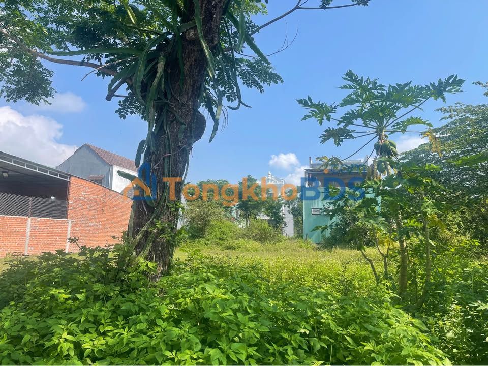 Đất nền An Phú Tam Kỳ 150m² 1.6 tỷ - Sổ đỏ chính chủ