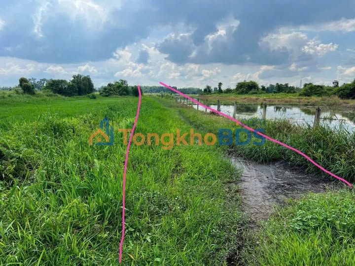 Bán Gấp Đất Vườn Củ Chi 10.000m² - Sổ Hồng Riêng - Giá Đầu Tư 6.5 Tỷ