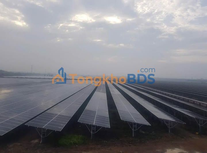 Chuyển nhượng Dự án Điện Mặt Trời 56ha Ninh Thuận - 50MWp, vận hành thương mại