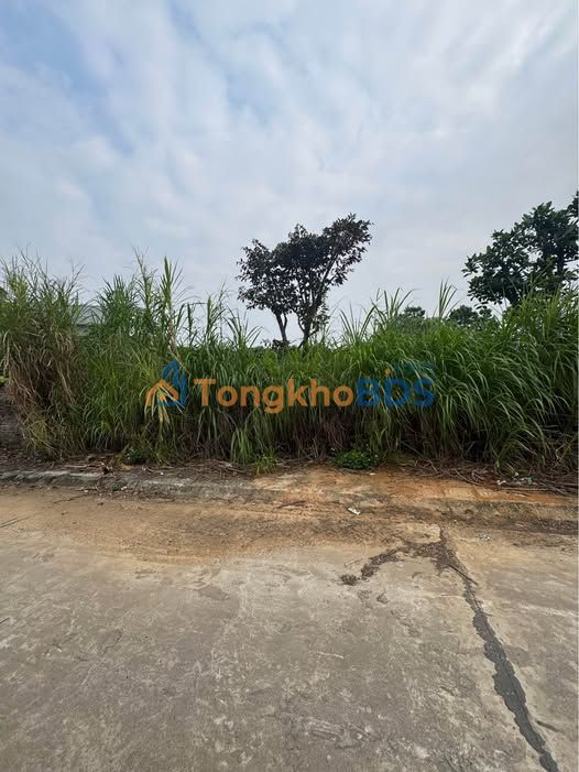 Đất nền 120m² Khu đấu giá Xuân Lũng, Lâm Thao - Sổ đỏ sẵn sàng, giá đầu tư 1 tỷ