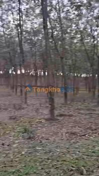 Đất vườn Phú Riềng 2,5ha 4,2 tỷ - Đầu tư dài hạn