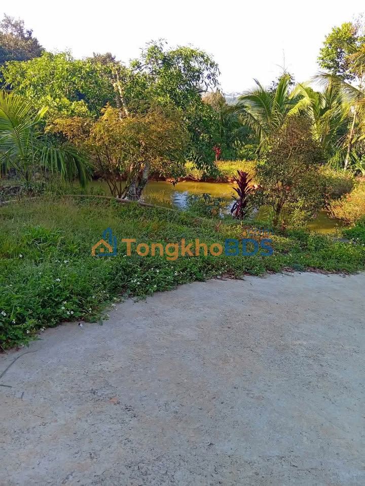 Đất nền Lộc Đức Bảo Lâm 3.348m² 5.5 tỷ - Sổ đỏ chính chủ