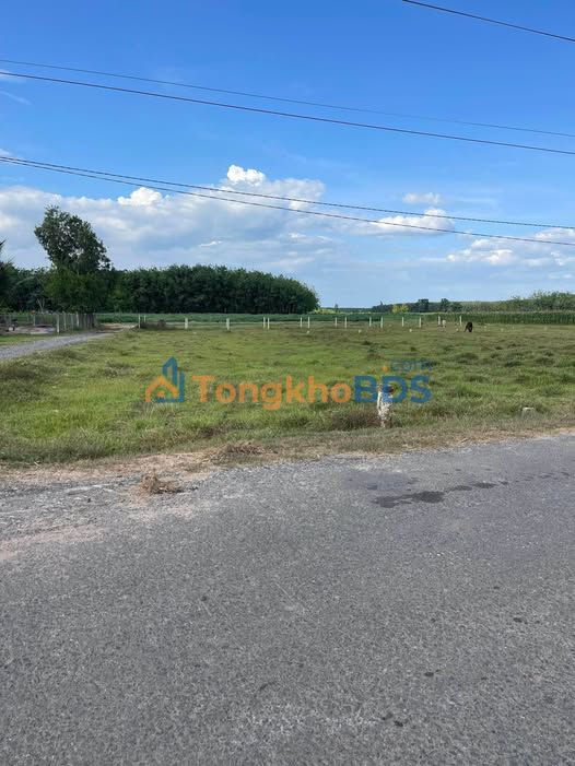 Đất nền mặt tiền 10.400m² mặt đường nhựa lớn 793, Tân Biên, Tây Ninh - Giá đầu tư 41.6 tỷ