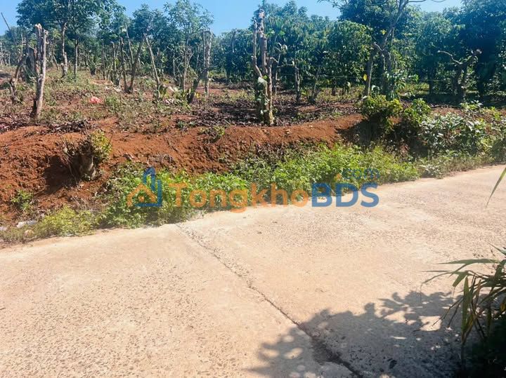 Đất nền Nam Ban Lâm Hà 100m² 1 tỷ - Sổ đỏ chính chủ