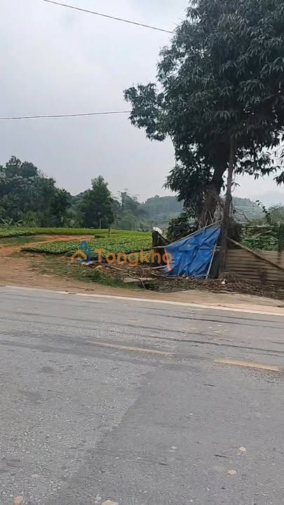 Cho thuê đất mặt tiền 6m, 240m², H. Đoan Hùng, Phú Thọ - Vị trí đắc địa