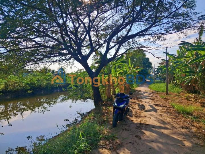 Đất vườn Lý Văn Lâm Cà Mau 2.236m² - View đẹp, xây tự do