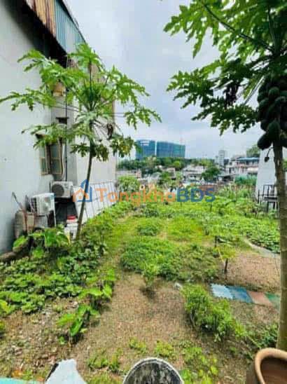 Đất Hồng Hải Hạ Long 55m² 1,5 tỷ - Sổ hồng chính chủ