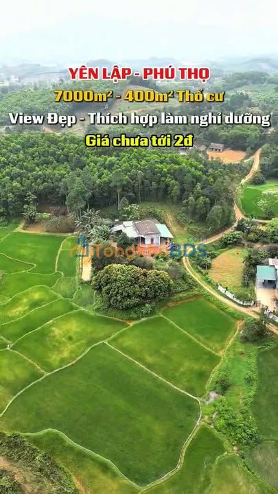 Bán Gấp Trang Trại 7000m² Yên Lập, Phú Thọ - Sẵn Nhà, Vườn Cây Ăn Quả, Ao Cá