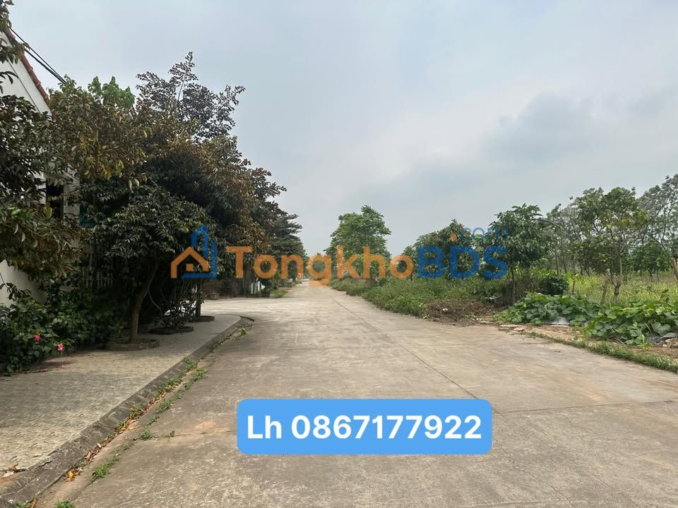 Đất nền Tân Dân Việt Trì 116m² 3 tỷ - Sổ đỏ chính chủ