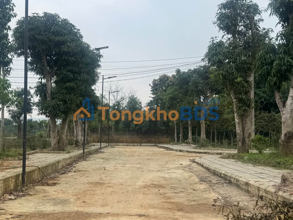 Đất Vĩnh Phúc Hơn 400 Triệu - 134m² Sổ Hồng, Đường Ô Tô