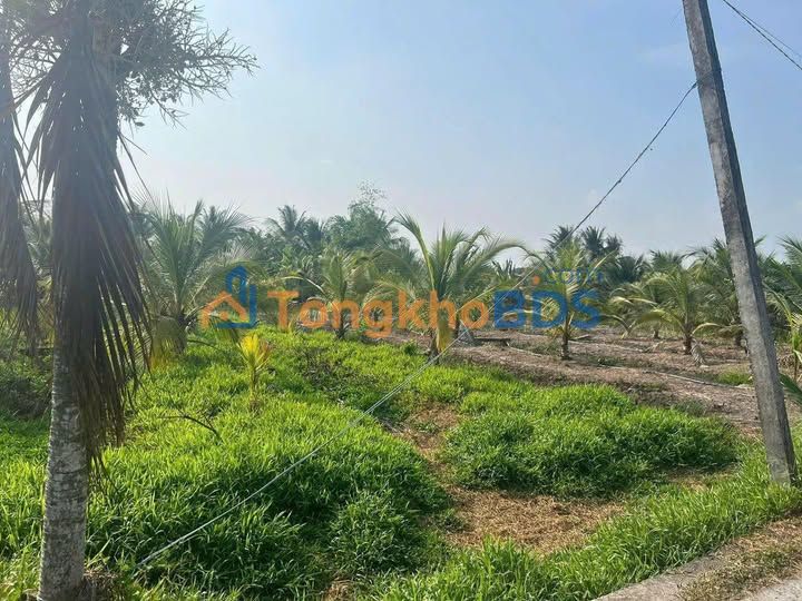 Đất nền Tân Bình Tân Thạnh 971m² 850tr - Đất thổ cư 100%