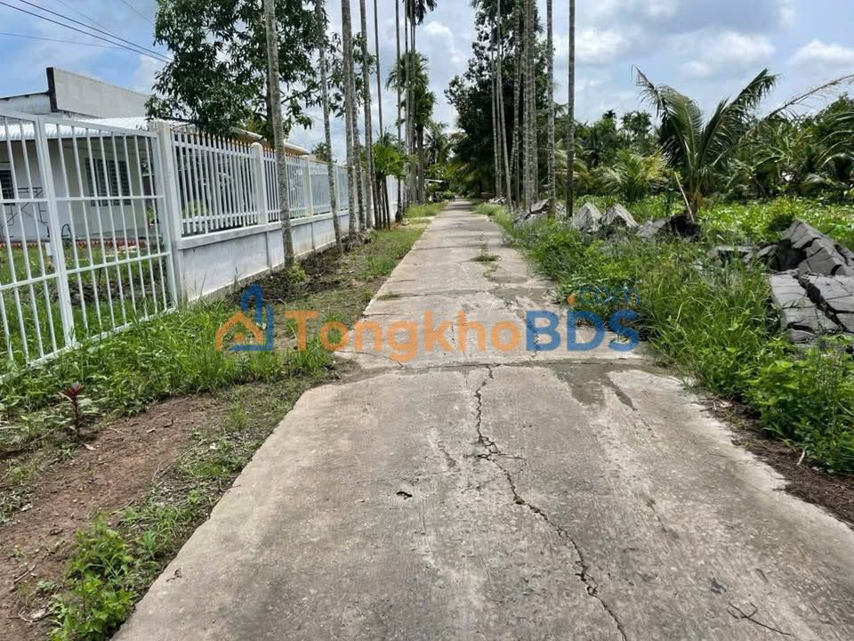 Bán Gấp Đất Vườn 19.586m² Hậu Giang - Sầu Riêng, Mít Đỏ - 4 Tỷ