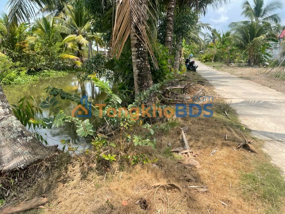 Bán Gấp 12.000m² Đất Líp Vàng Cần Thơ - Sổ Hồng Riêng