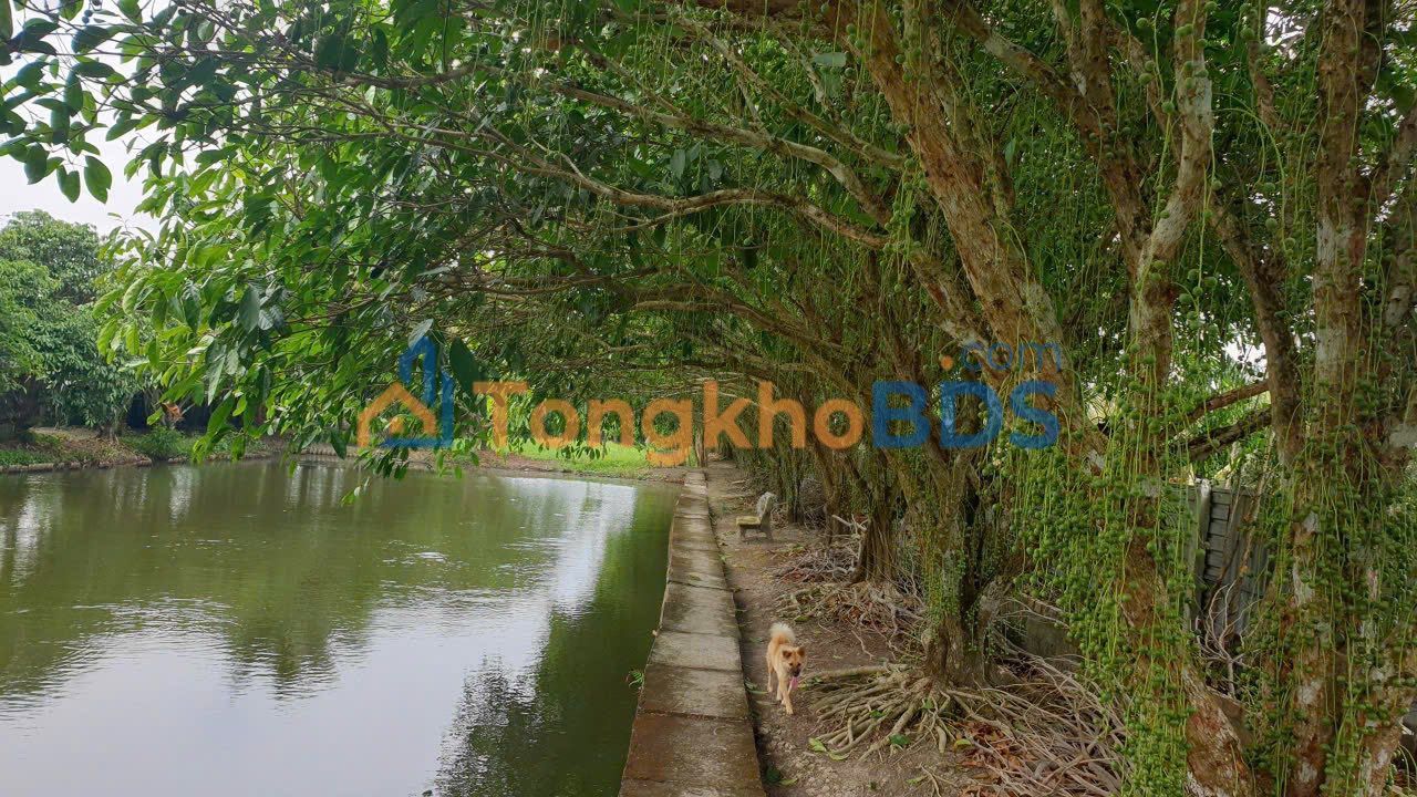 Chuyển nhượng Trang trại 5.292m² tại Xã Hiệp Hưng, Cần Thơ - Giá chỉ 2 tỷ