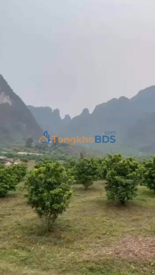 Đất trang trại An Bình Hòa Bình 15ha - Sổ hồng chính chủ