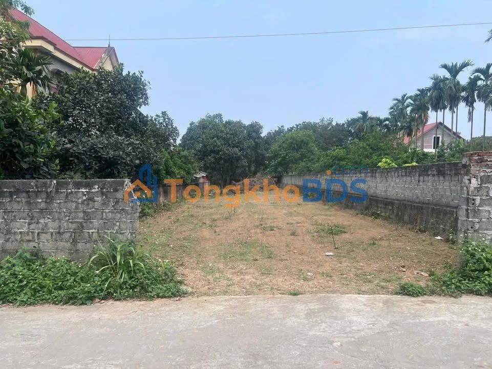 Đất Vàng Ba Vì 496m² Sổ Đỏ Chính Chủ - Đầu Tư Sinh Lời Hấp Dẫn