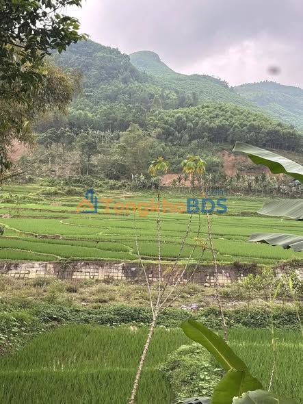 Đất nền Xóm Vọ, Cuối Hạ 925m²/1 tỷ - Đường to ô tô