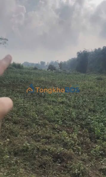 Đất Nền Mai Châu 5700m² - Bám Suối, View Thác - Đầu Tư Sinh Lời