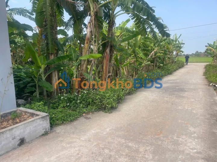 Đất nền Thái Giang 90m² - Sổ đỏ sẵn, gần KCN, giá đầu tư 6xx triệu