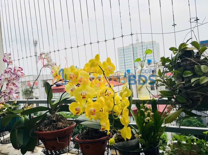 Căn hộ M3.2 Hiến Nam 72m² 1.5 tỷ - View đẹp