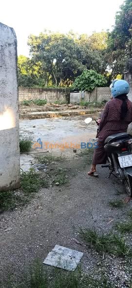 Bán Đất Nền 239m² Đường Pom Lót, Quận 9 - Giá 230 Triệu