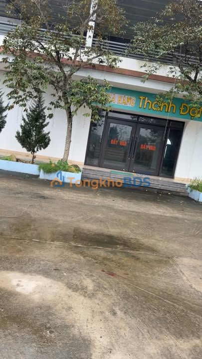 Farm Kinh Doanh 1.2ha Hạ Hòa, Phú Thọ - Vài Tỷ Sở Hữu Ngay!