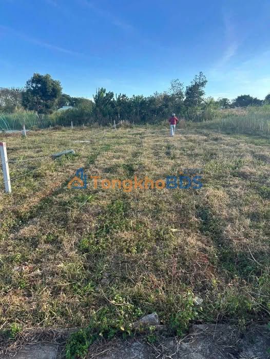 Đất nền Pleiku Hoa Lư 258m² 1,05 tỷ - Sổ đỏ chính chủ