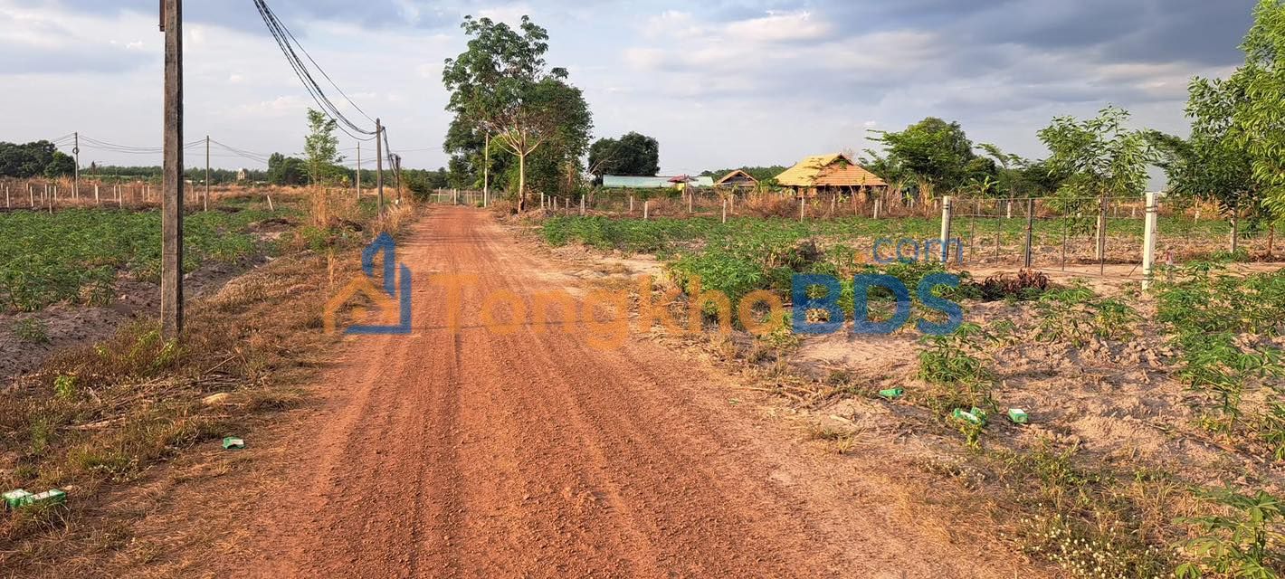 Đất nền Đường số 1 Việt Trì 345m² giá 5xx triệu - Sổ đỏ