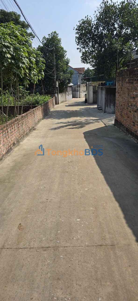 Đất Nền Vĩnh Phú (Nông Trang) Việt Trì 78.8m² - Đường Rộng, Dân Cư Đông Đúc, Sẵn Sàng Đầu Tư