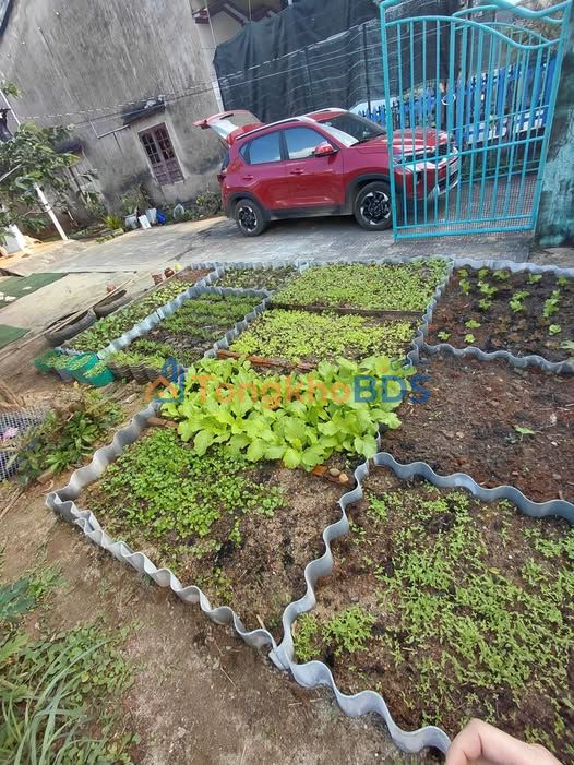 Đất Vườn Tam Giang - Ngang 9m, Sổ Đỏ Sẵn, Giá Chỉ 1.2 Tỷ