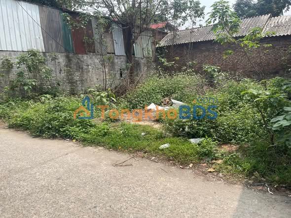 Đất thổ cư 99m² Dược Hạ, Sóc Sơn - Sổ hồng sẵn, giá 3 tỷ