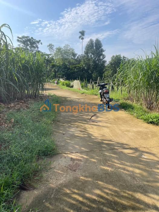 Bán Gấp 2 Lô Đất Thổ Cư Xã Thường Xuân, Thanh Hóa - Giá Chỉ Từ 1xx Triệu/Lô