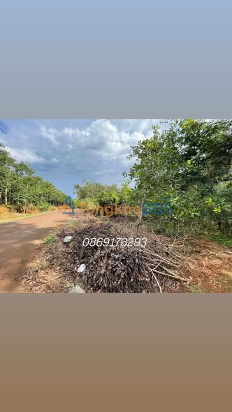 Đất Long Tân Phú Riềng 1,9ha giá tốt - Sổ đỏ chính chủ