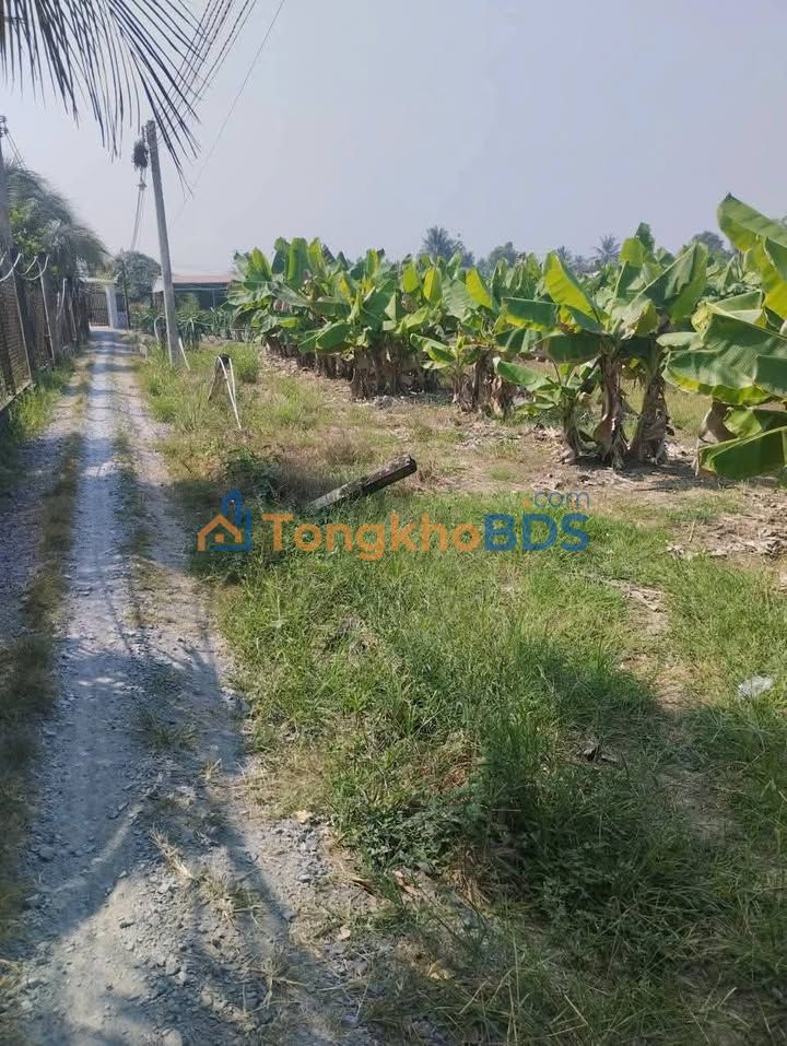 Đất vườn Long An Hòa Phú 1.077m² 900 triệu - Xây dựng tự do