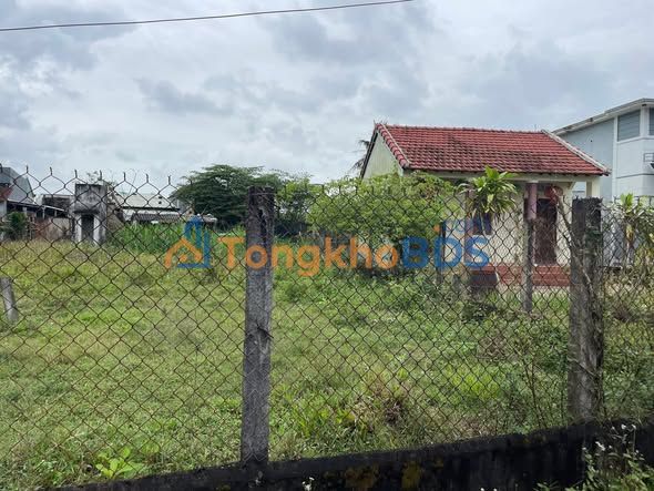 Đất Tam Đàn 126m² - Giá 6xx Triệu, Sổ Đỏ Sẵn Sàng