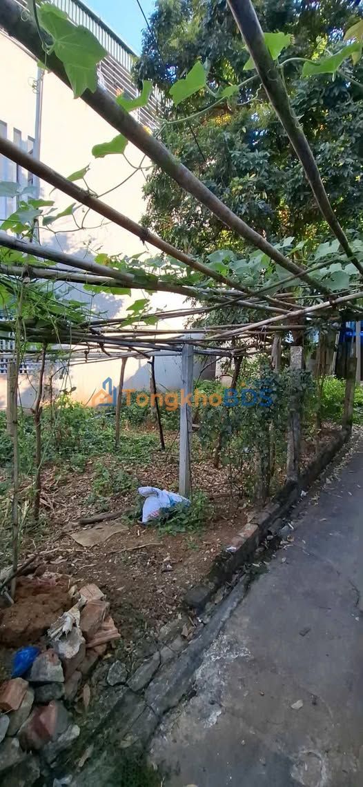 Đất nền Phù Yên 100m² - Sổ đỏ thổ cư, 2 ô tô tránh - Giá chỉ 799 triệu