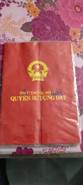 Bán Đất Tân Ba, Thuận An 248m² Sổ Hồng Riêng - Giá Hiếm 2.35 Tỷ