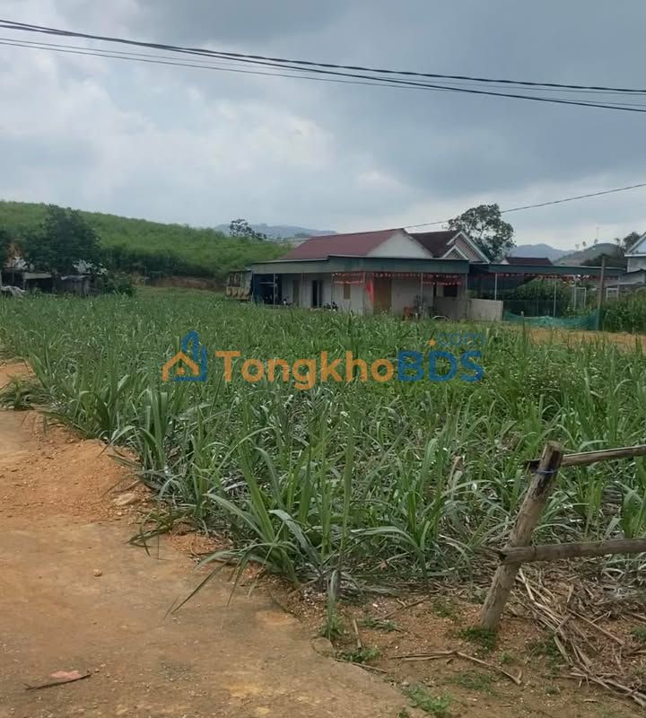 Đất Nghĩa Lộc Nghĩa Đàn 300m² 4xx triệu - Đường to ô tô