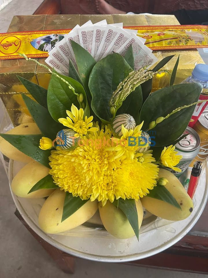 Đất Long Hưng 40m² 900-999 triệu - Tiềm năng tăng giá