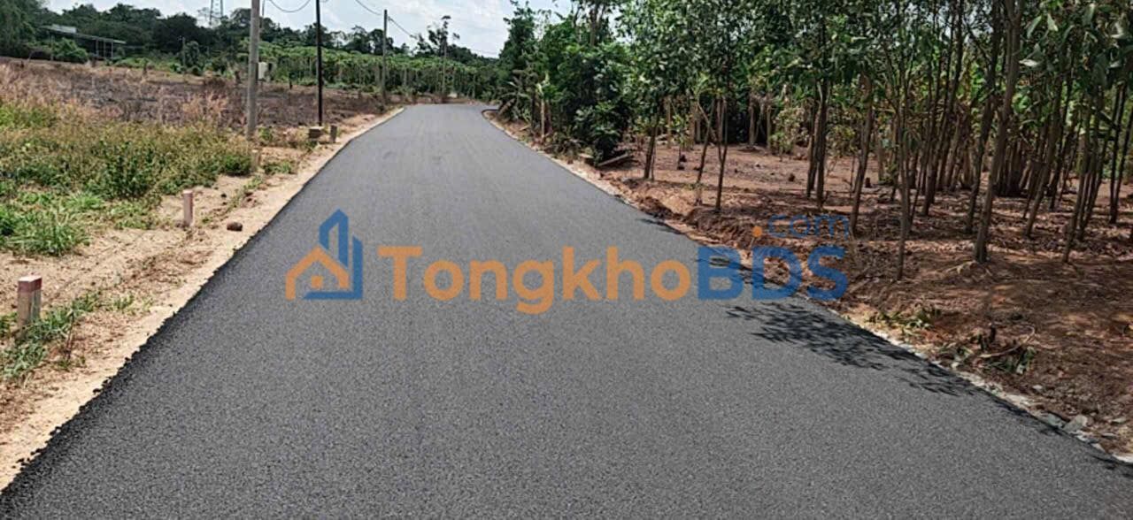 Bán Gấp Farm Nghỉ Dưỡng 20.000m² Xã Nghĩa Thành, BR-VT - Giá Đầu Tư 12 Tỷ