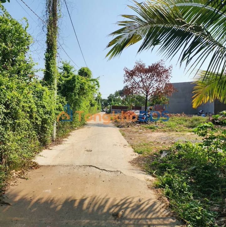 Đất Bảo Vinh Long Khánh 85m² 550tr - Đường ô tô