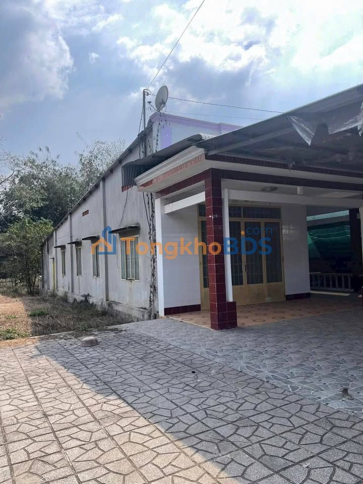 Đất nền Trị An 140m2 3.2 tỷ - Sổ đỏ chính chủ