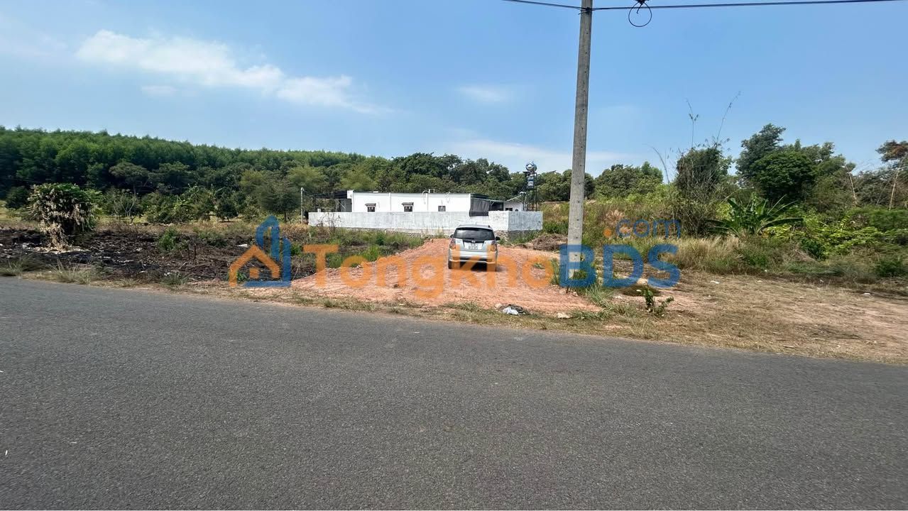 Đất Nền Mặt Tiền Nhựa Định Quán 184m² - Sổ Sẵn, Giá Đầu Tư