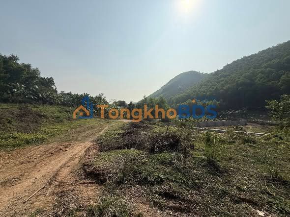 Bán Đất Farm 8000m² Phổ Yên, Thái Nguyên - Sẵn Sàng Cho Dự Án Nghỉ Dưỡng