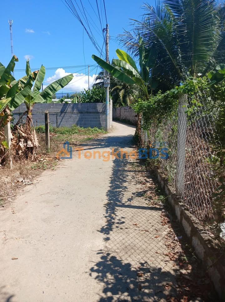 Bán Đất Diên Phước 99m² - Mặt Tiền Đường Bê Tông, Gần Chợ