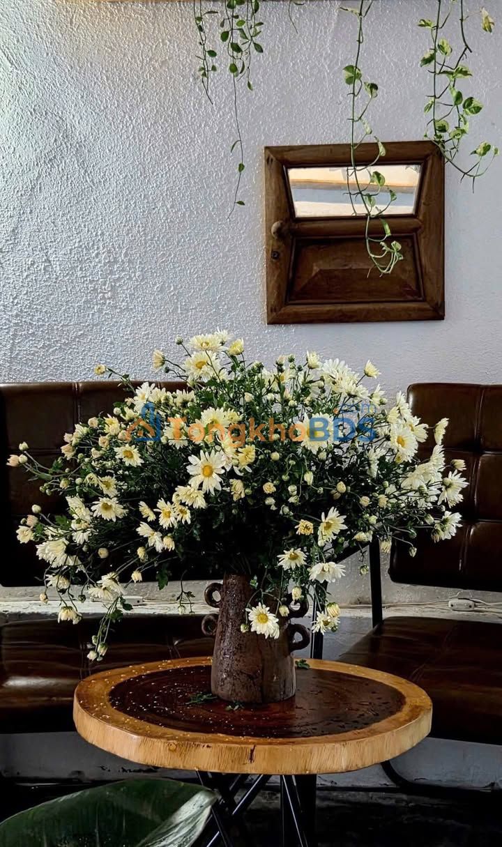 FrontHouse Trần Nguyên Hãn 250m² Nha Trang - Mặt tiền kinh doanh